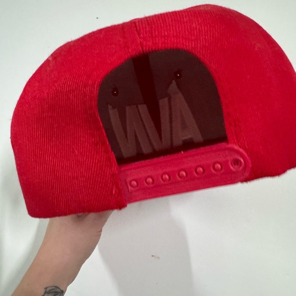 AVN AWARDS SNAPBACK - Picture 5 of 5